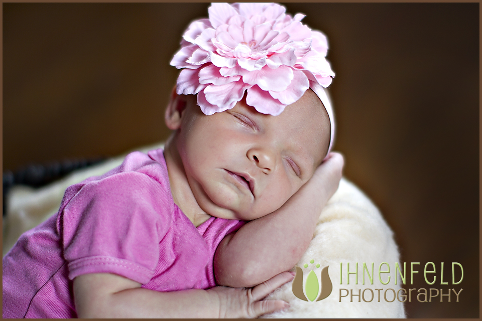 Tampa_Newborn_Baby_01